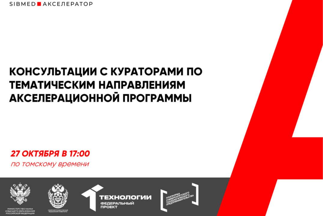 Консультации с кураторами по тематическим направлениям акселерационной программы #АП