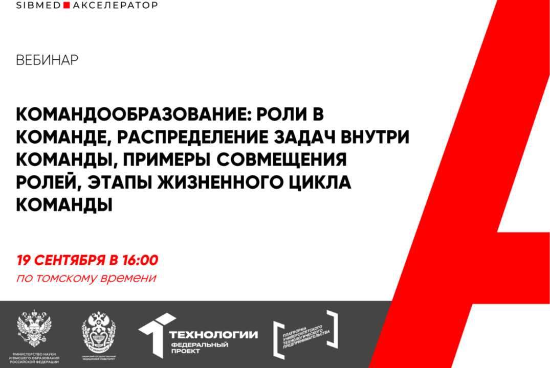 Командообразование: роли в команде, распределение задач внутри команды, примеры совмеще #АП