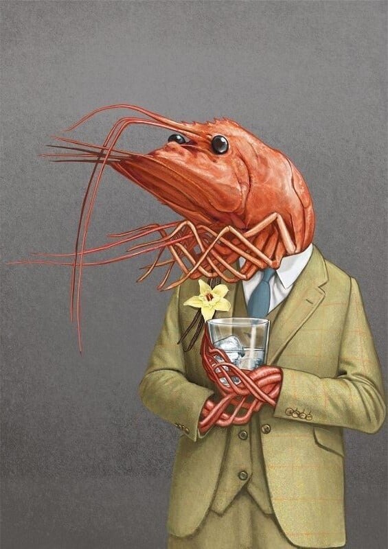 Голубая кровь и хитиновый покров