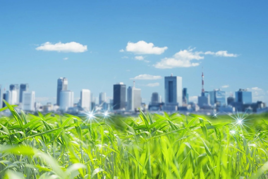 Экология простыми словами