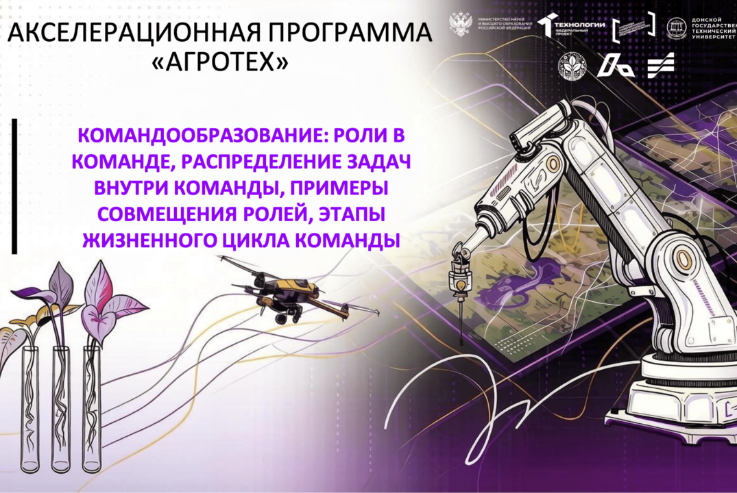 #АП Командообразование: роли в команде, распределение задач внутри команды, примеры совмещения ролей...