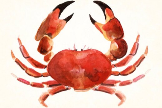 Собрание студенческого онкологического клуба