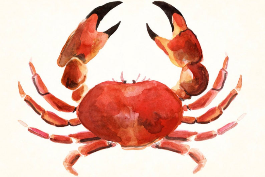 Собрание студенческого онкологического клуба