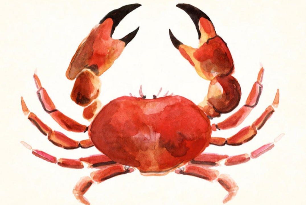 Собрание студенческого онкологического клуба