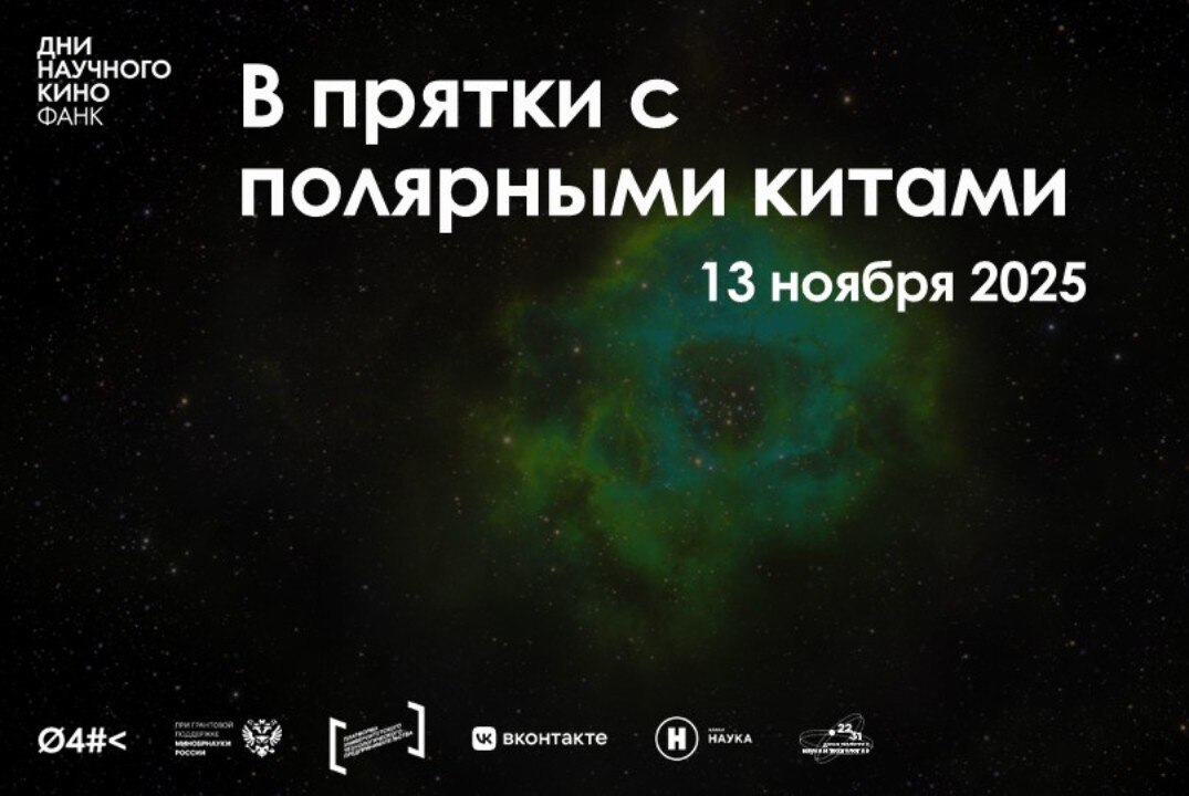 "В прятки с полярными китами" в рамках Дней научного кино ФАНК в ЮФУ