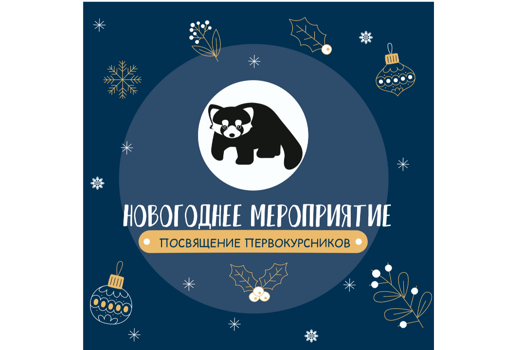 Новогоднее посвящение в первокурсники ЮФУ