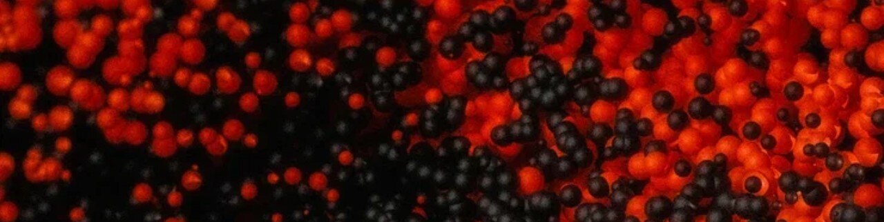 Обложка профиля