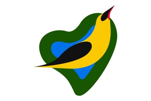 IВолга - информативный сбор делегации