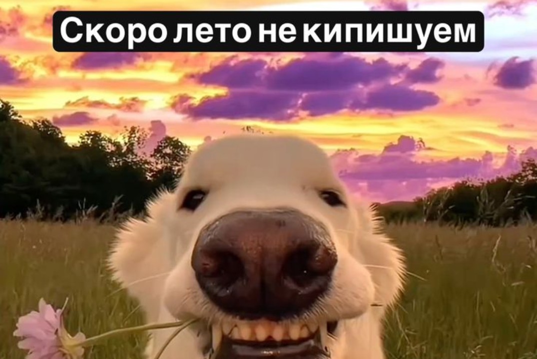 ШВМ ССПО "Легион"