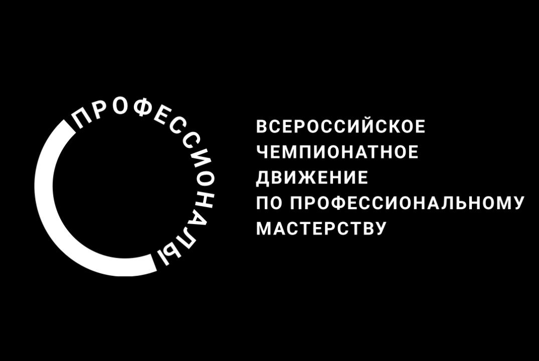 Чемпионат «Профессионалы». Компетенция: Специалист по тес...