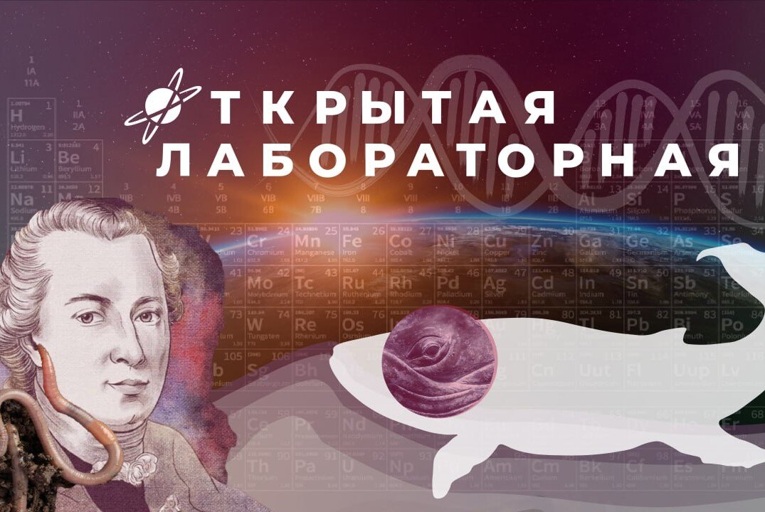 Открытая лабораторная в СПб ТКУиК