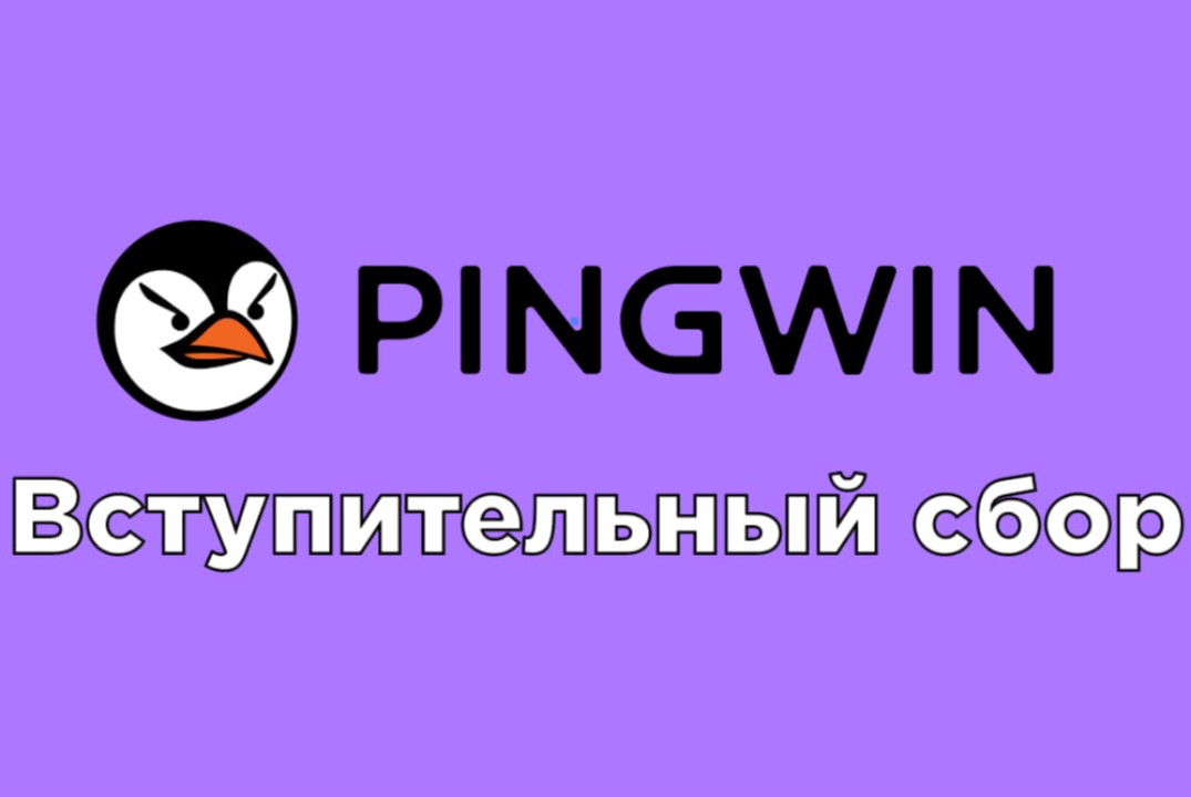Вступительный сбор PINGWIN