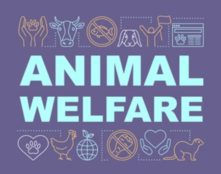 Теоретические и практические основы повышения благополучи...