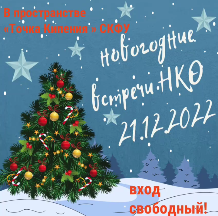 Новогодние встречи НКО