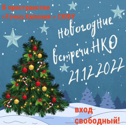 Новогодние встречи НКО