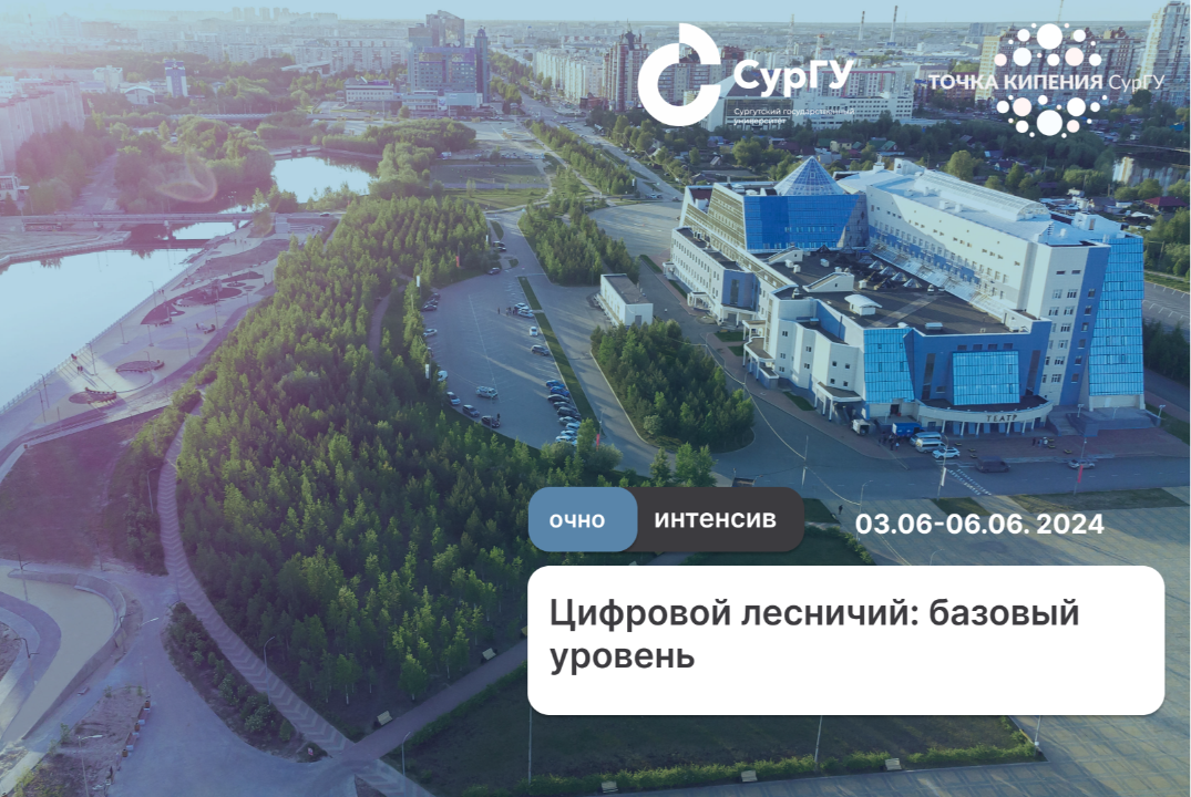 Цифровой лесничий: базовый уровень