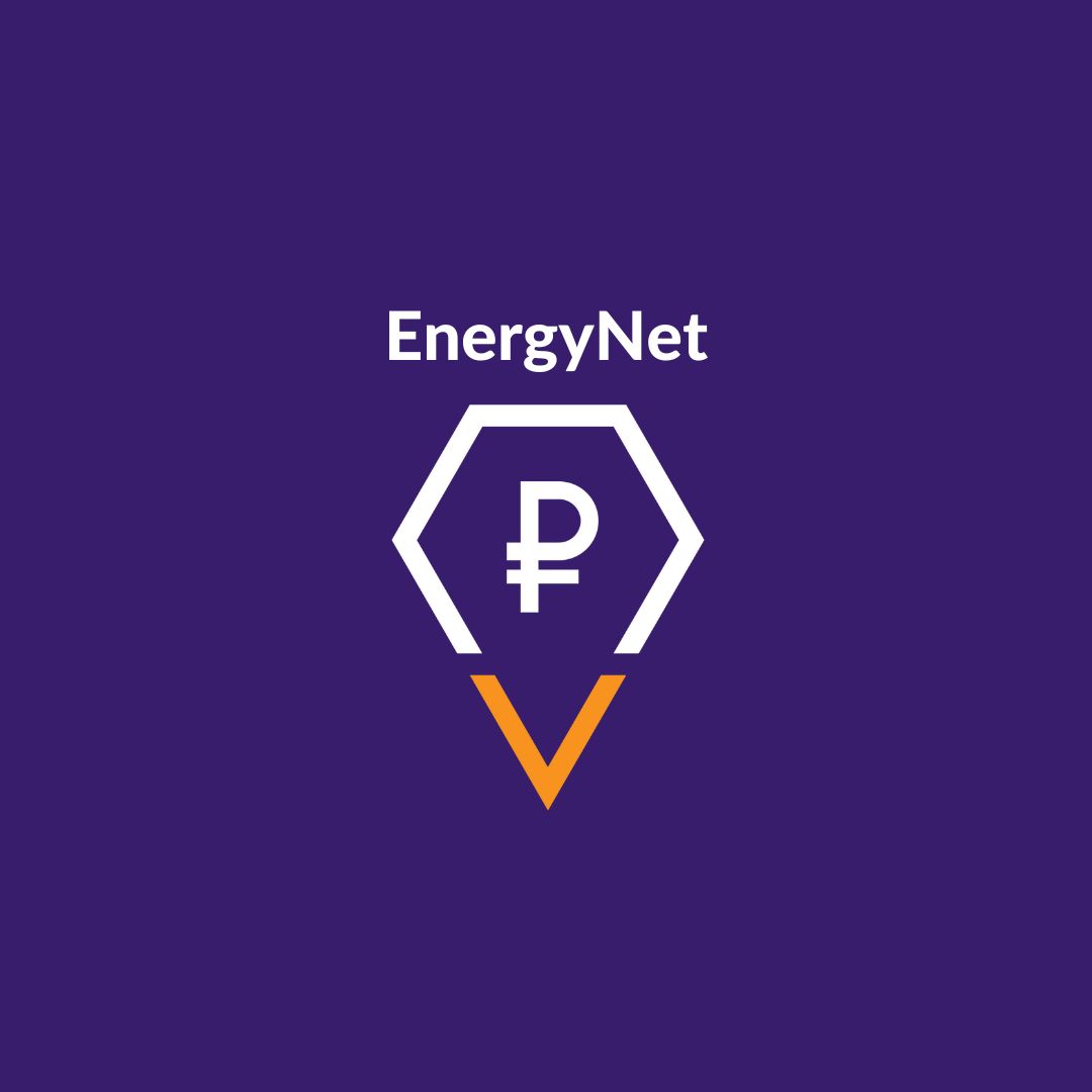 Презентация проекта инвесторам, подведение итогов интенси...