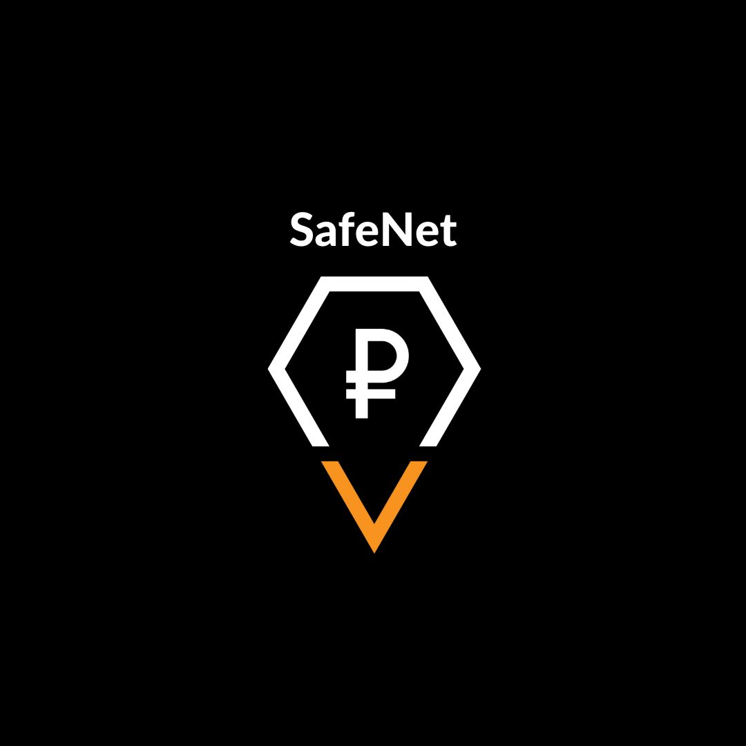 Презентация проекта инвесторам, подведение итогов интенси...