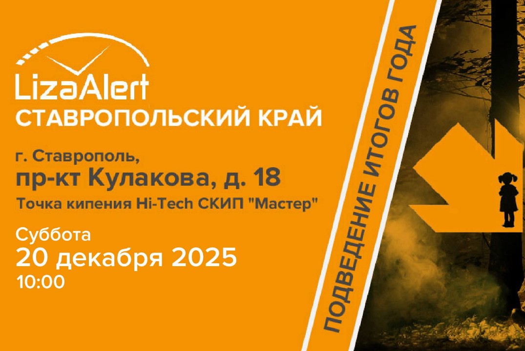 Подведение итогов ДПСО "ЛизаАлерт"