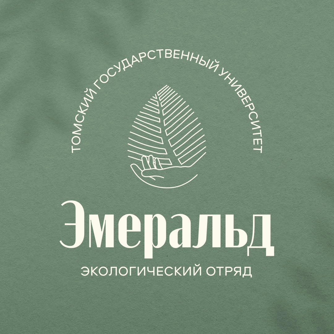Лекция РСО в рамках Школы Экологов СЭО «Эмеральд»