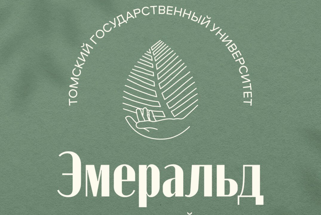 Собеседование в СЭО «Эмеральд» | ВШСО ТГУ