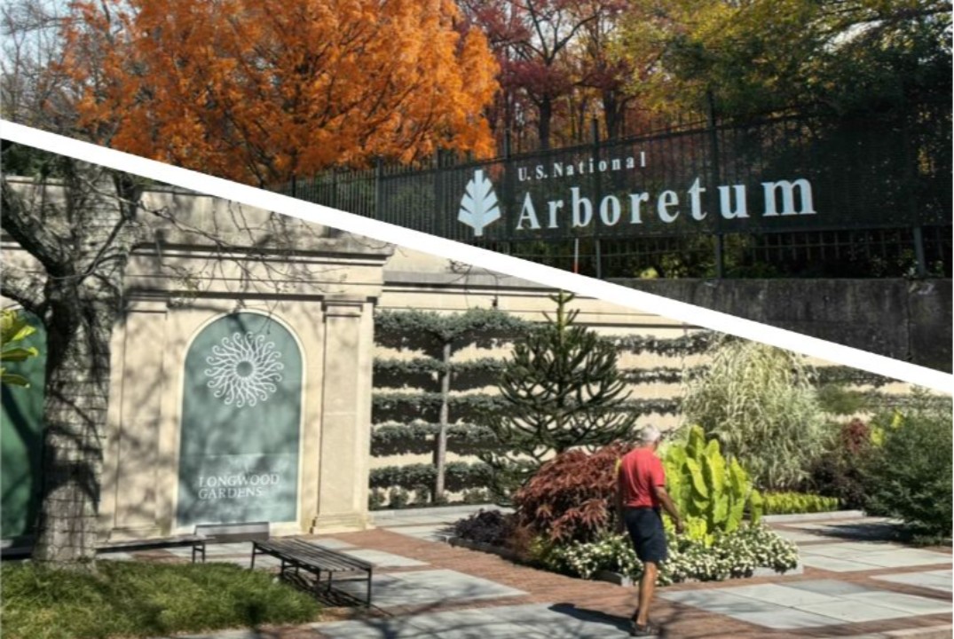 Использование рекреационных ресурсов на примере ботаничес...