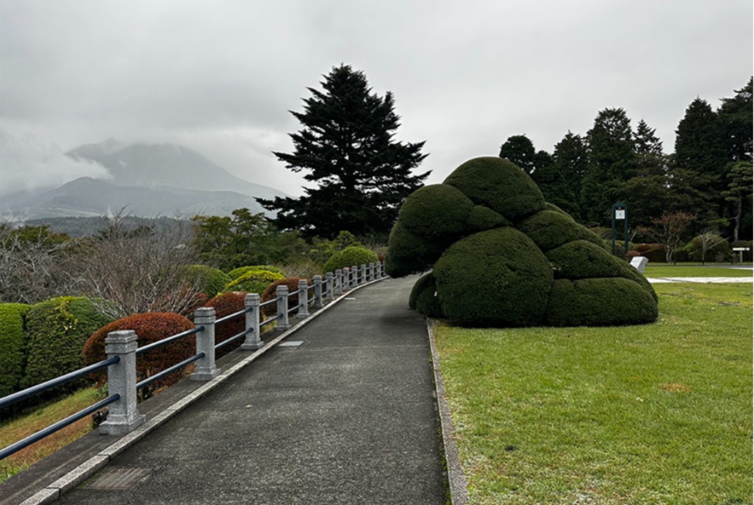 Сады и парки Японии - ботаническое разнообразие и возможности для расширения видового состава отечественных парков.