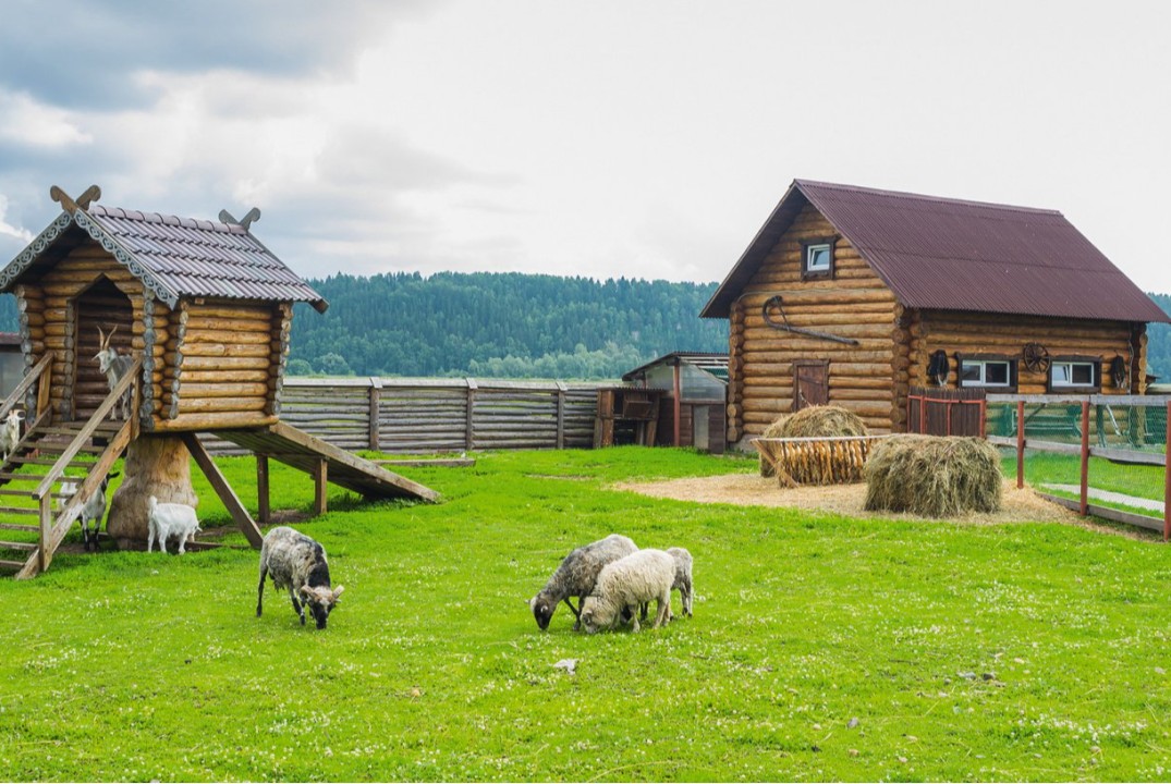 Форум «Сельский туризм как бизнес»