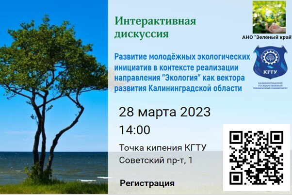 Развитие молодёжных экологических инициатив в контексте реализации направления "Экология"