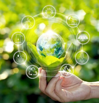 АНО "Зелёный край"