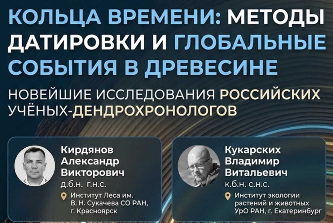 Кольца времени: методы датировки и глобальные события в древесине