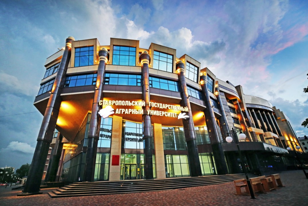 Стратегическая сессия для кураторов академических групп