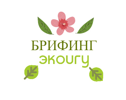 Брифинг руководителей экологического сообщества ЭКОИГУ