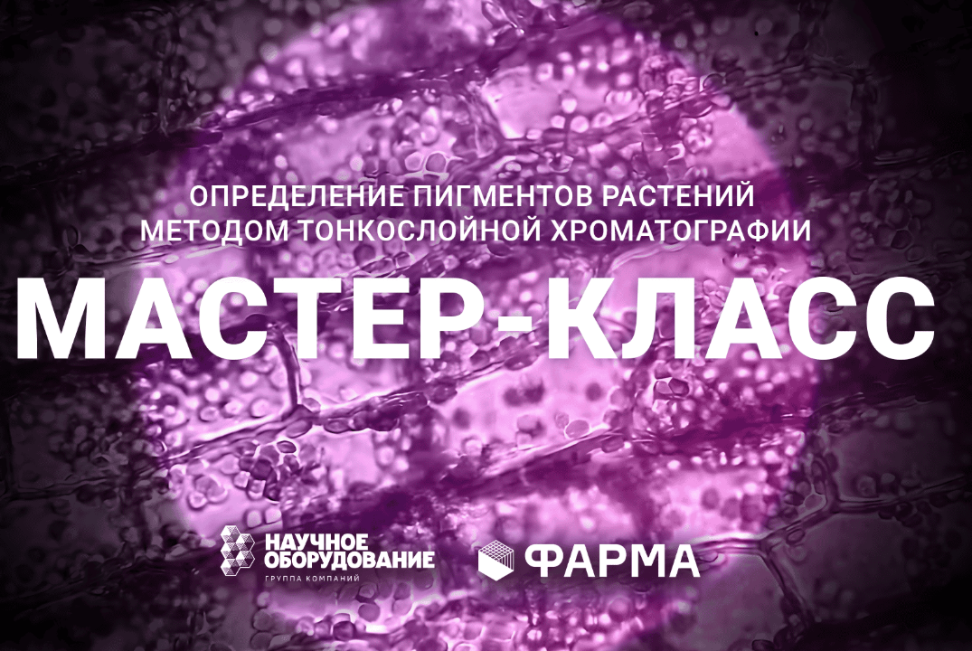 Определение пигментов растений методом тонкослойной хрома...