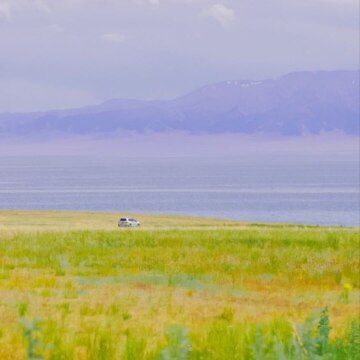 Харламова Полина Андреевна Харламова Полина Андреевна