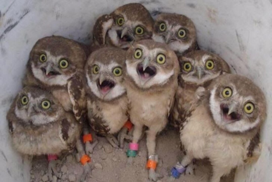 Тимбилдинг творческого актива ФСФ