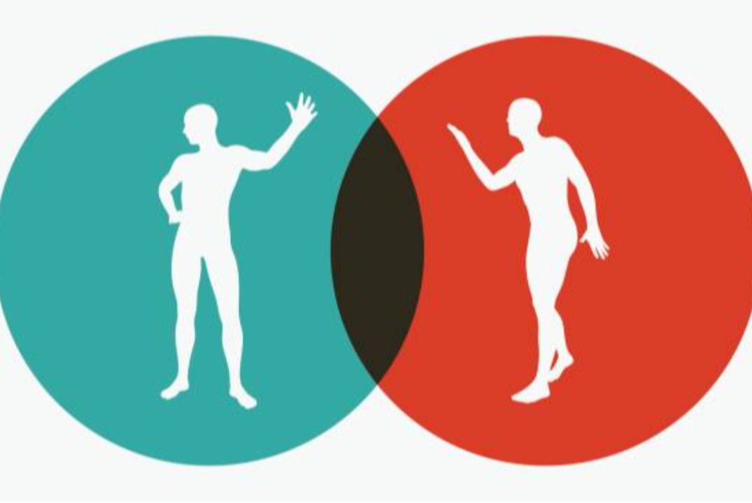 Поединок с критикой.