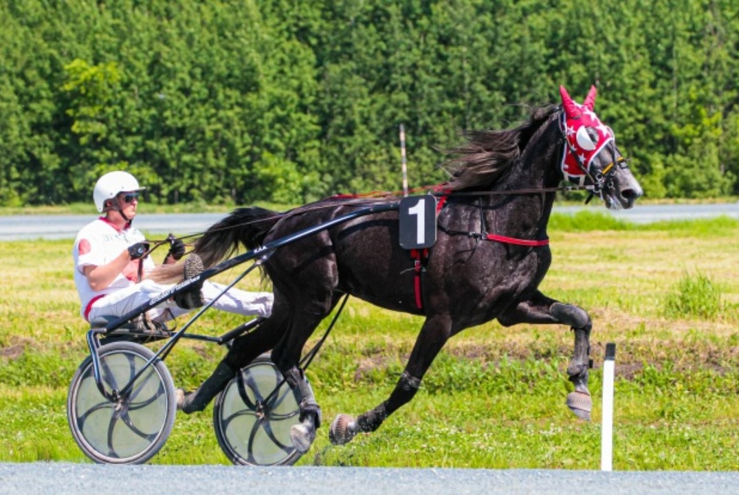 Стратегические цели развития отрасли коневодства и ипподр...