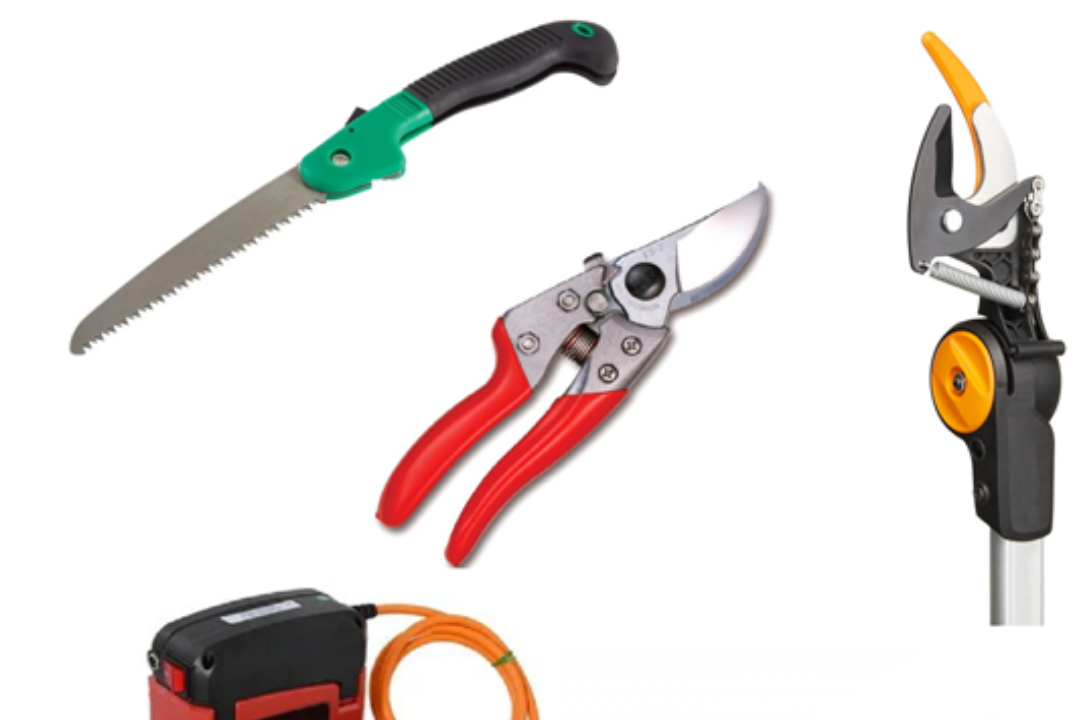 «Садовый инструмент и подготовка его к работе»