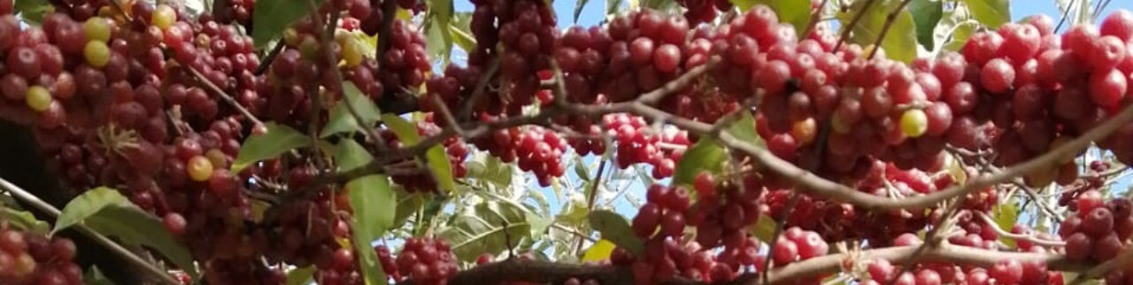 Обложка профиля