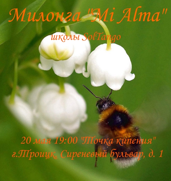 Милонга "Mi Alma" от школы "SolTango'