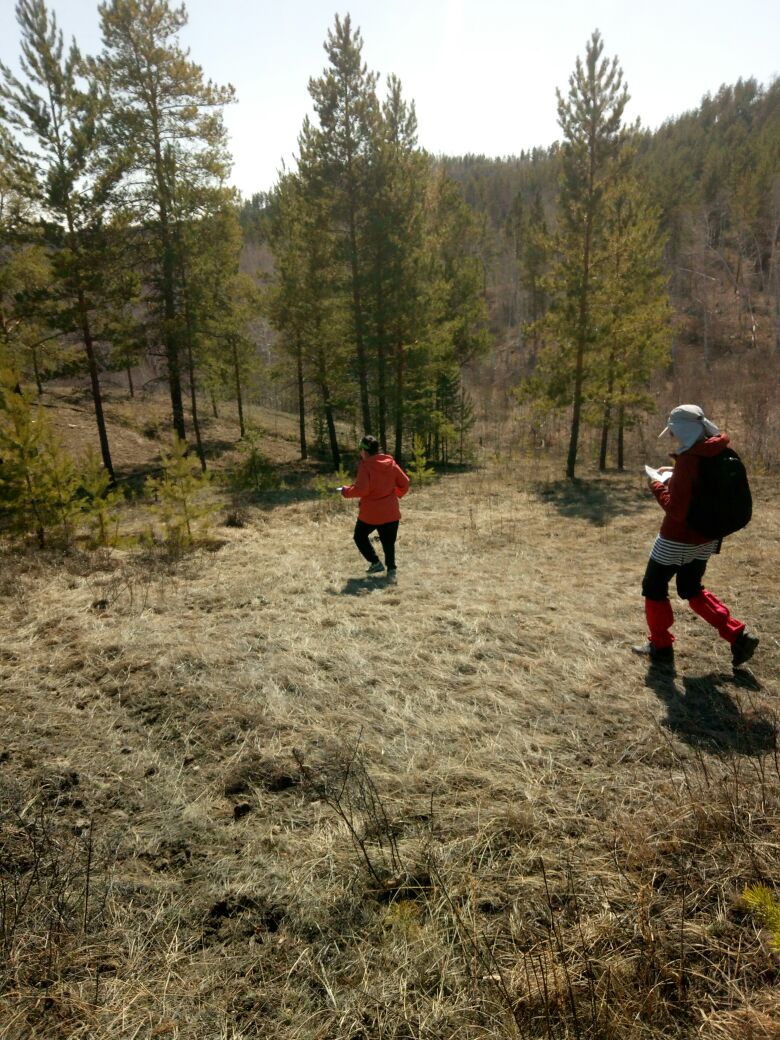 Бег в лесу: польза и техника