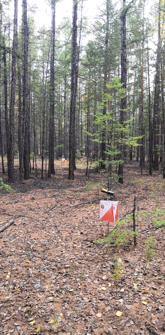 Работа с картой и компасом. Азимут.