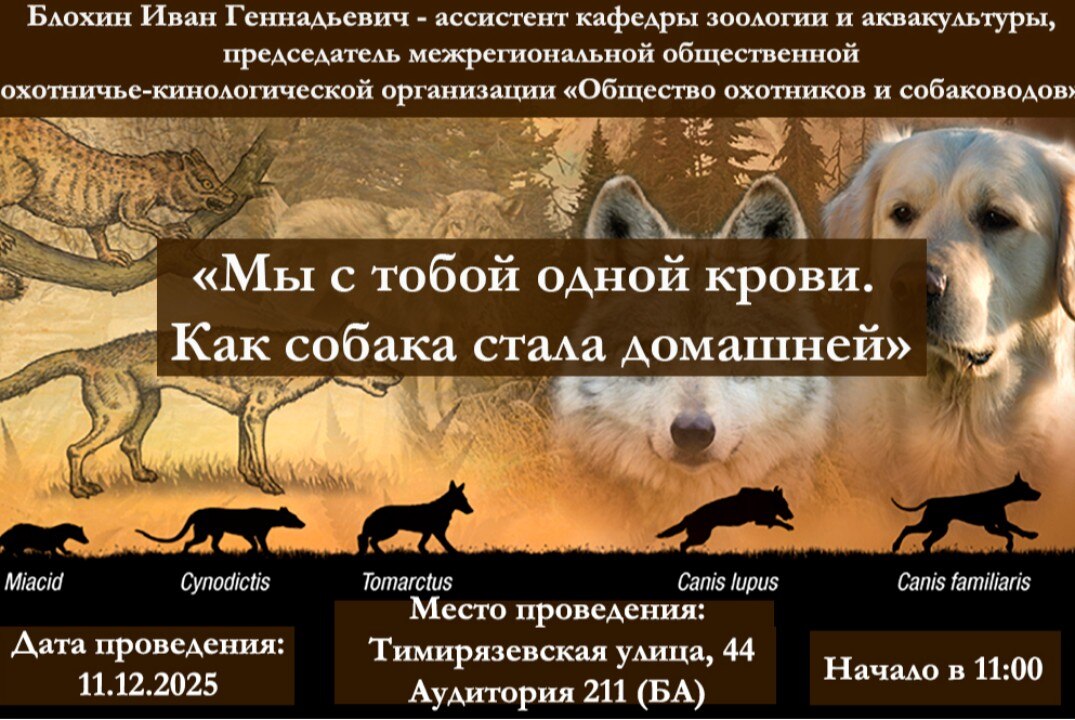 Мы с тобой одной крови. Как собака стала домашней