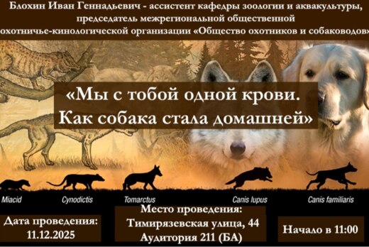 Мы с тобой одной крови. Как собака стала домашней