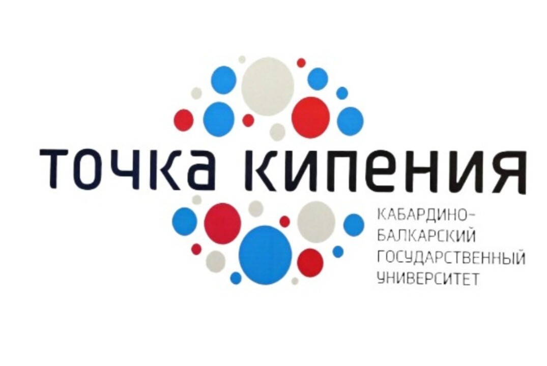 Стартапы в области БАС от гипотезы до внедрения