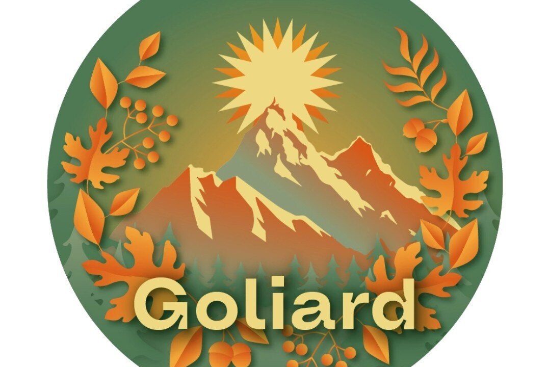 Итоговое собрание СПО "Голиард"