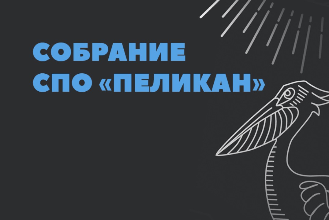 Организационная встреча СПО "Пеликан"