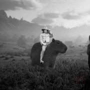 Махаури Малик Магомедович