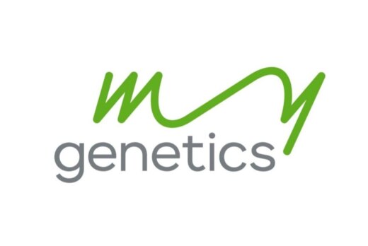 Продуктовая сессия по технологии ТРИЗ